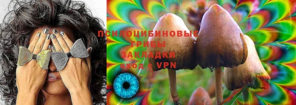 гашик Балахна